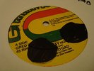 Pablo Gad Fly Away Home Killer Roots 12