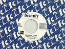 JOE CHAPMAN Beautiful Lover b/w I'll Be Your Everything  BISCUIT STOCK  45 M-