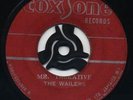 MR TALKATIVE (Upbeat Ska)/ IT HURTS TO BE ALONE (Beautiful Ballad) The WAILERS ?