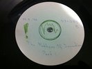 Frank Zappa the mothers of invention Acetate promo test pressing one side Rare