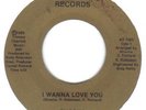  MODERN SOUL BOOGIE    SHASHA   YOU'LL LIKE IT  /  I WANNA LOVE YOU