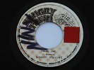ROMAN STEWART - PRAISE JAH - 7
