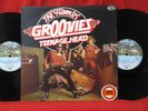 Flamin Groovies Teenage Head UK Import 2 LP Record Set MINT- SCARCE 1976