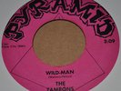Monster Rare 1967 Garage Punk 45 THE TAMRONS Wild-man & Stop, Look, Listen