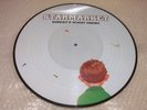 STARMARKET / Sunday's Worst Enemy LP PICTURE Ltd 500 EMO RANDY MILLENCOLIN D @