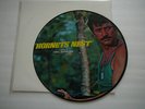 HORNETS' NEST Rock Hudson RARE 12
