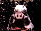 PRIMUS Pork Soda 2LP 180g Plain Rec. USA