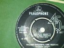 Lemon tree- William Chalkers Time Machine