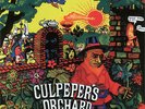 Culpepers Orchard - Same // Tapestry Records 1971 // Progressive Rock LP