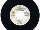 ELVIS PRESLEY- MYSTERY TRAIN(RECORD PREVUE)
