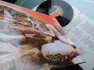 Led Zeppelin     - Houses Of The Holy -   UNGESPIELT