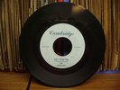 The Renegades SHE'S YOUR FIND(-ah) Garage PUNK 45 Raving Blue, Grand Rapids MI