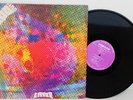 Litter $100 Fine fuzz garage psych LP