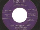 R&B - DOO-WOP - THE HARPTONES on BRUCE - 