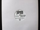 PHRASE - HERE NOW / TALK WITH FORCE 12