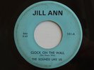 1966 Garage 45 SOUNDS LIKE US Clock On the Wall/Outside Chance JILL ANN  LISTEN