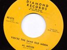 STARDAY CUSTOM COUNTRY--DIAMOND--AL MEYER & PALS--HEAR BOTH--1955