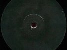 NETWORK23 34 SPIRAL TRIBE R-ZAC SP23