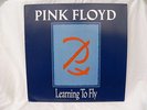 RETRO PINK FLOYD ,LEARNING TO FLY,USA PROMO CAS 02775