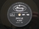 THE BIG BOPPER 