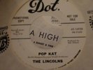 The Lincolns WLP 45 Pop Kat/We Got Some MINT 1966 GARAGE PUNK FRAT X-SCARCE RARE