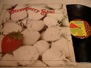 Billy Martin-STRAWBERRY SOUL-sophisto FUNKY instrumentals-SAMPLES-Canada press