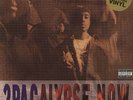 2Pac - 2Pacalypse NOW EU Vinyl Record LIMITED SPECIAL EDITION  MINT