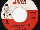Accents-Our Wonderful Love-NM Jive Doo Wop 45 