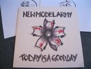 NEW MODEL ARMY - TODAY IS A GOOD DAY 2LP - MINT 2009  PUNK