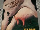 Aerosmith Get A Grip 1993 Vinyl LP Rare Import Geffen Record Steven Tyler