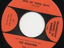 ROOSTERS - ONE OF THESE DAYS 1966 US JINGLE JANGLE PEBBLES GARAGE 45