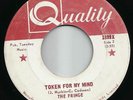 THE FRINGE: Flower Generation - Freakbeat/Psych 45