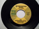 The Thirteenth Floor Elevators Reverbaration 45 IA-111