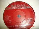 TYRANNOSAURUS REX/T-REX -45-