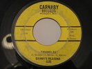 1967 Private MN Garage 45 - DANNY'S REASONS - Triangles/Under My - Carnaby #101