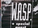 W.A.S.P. MANIFESTO ORIGINALE CONCERTO MILANO 1997