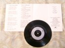 SIOUXSIE & THE BANSHEES - Hong Kong Garden 7