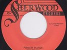 Lani Power Surge  1981 RARE KENTUCKY PRIVATE PUNK GARAGE HARD ROCK 45 HEAR