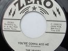SPADES You're Gonna Miss Me 45 Roky Erickson 13th Floor Elevators