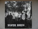 SILVER BIRCH VERY RARE ORIGINAL 1974 PRIVATE PRESSING BRAYFORD RECORDS LP EX