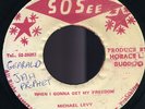 Michael Levy - When I Gonna Get My Freedom JA orig 45 ??