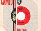 THE KINKS I Took My Baby Home/Long Tall Sally CAMEO garage 45 NM w/ sleeve