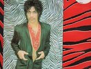 RARE 1981 UK PRINCE 12