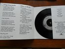 SUPER RARE: SIOUXSIE AND THE BANSHEES:HONG KONG GARDEN: