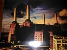 PINK FLOYD ANIMALS LP COLOR VINYL Near Mint/LIke New UK
