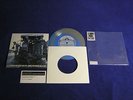 CHRIS ROBINSON BROTHERHOOD Blue Suede Shoes Swirl Record Store Day Garcia Band