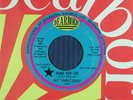 The UNDECIDED 45 Michigan garage MAKE HER CRY / I NEVER FORGOT HER  DEARBORN VG-