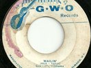 JA  GWO  GRANVILLE WILLIAMS ORCHESTRA  