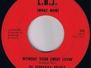 US EVERYDAY PEOPLE Without Your Sweet Lovin' RARE XOVER SOUL FUNK 45 *Listen LBJ