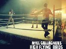 Noel Gallagher's High Flying Birds - Dream On Limited 12